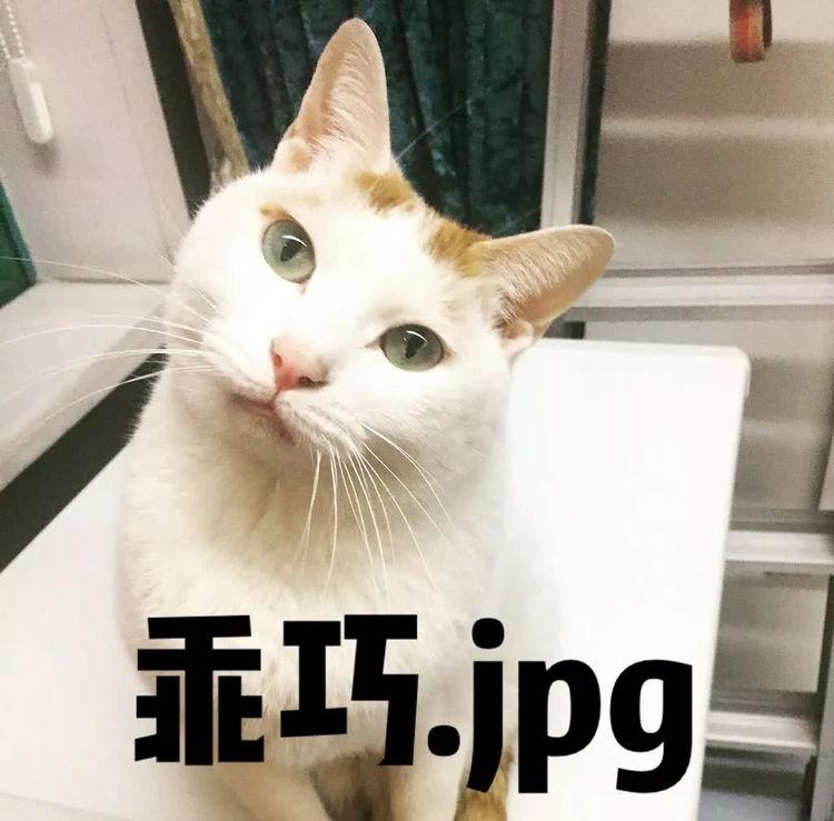 王者荣耀辅助英雄有哪些_王者荣耀辅助_王者荣耀辅助怎么玩才是正确的