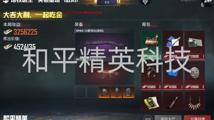 和平精英科技首选 小丑直装！