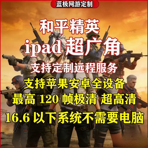 苹果和平精英大神辅助怎么开-苹果手机和平精英辅助使用风险与正确玩法